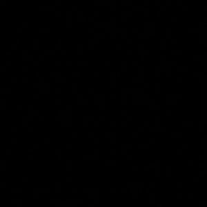 Meet your Posher, Ranaysha